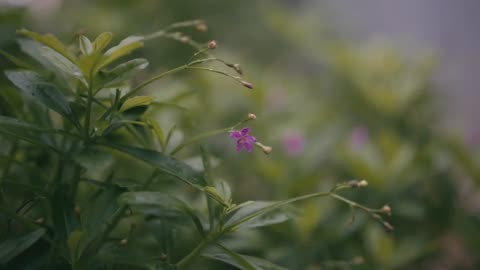 "Quality is never an accident; it is always the result of intelligent effort."