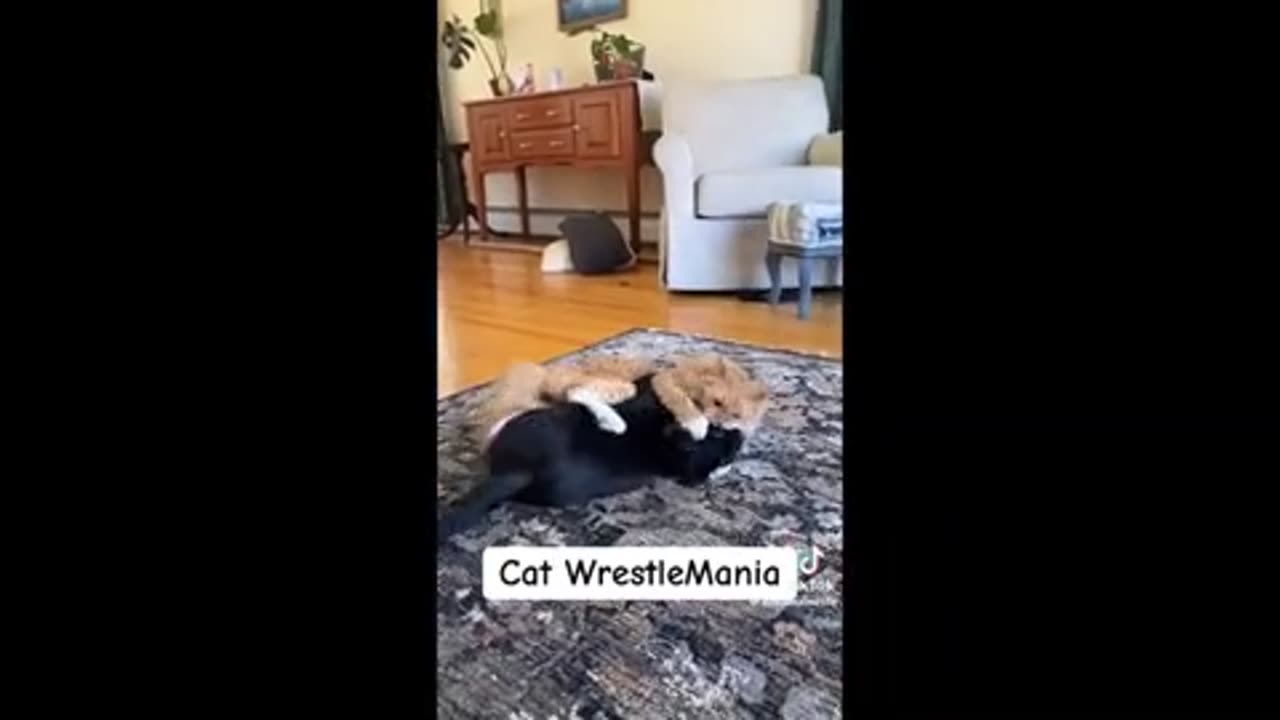 Need a Laugh here and there ;)