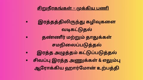 சிறுநீரக பிரச்சனைகளின் ஆரம்ப அறிகுறிகள் மற்றும் எச்சரிக்கை