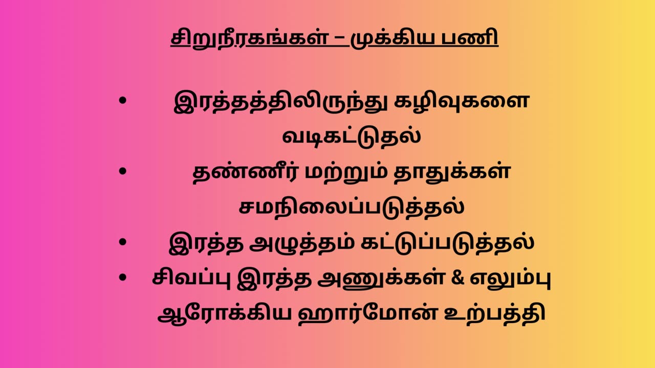 சிறுநீரக பிரச்சனைகளின் ஆரம்ப அறிகுறிகள் மற்றும் எச்சரிக்கை