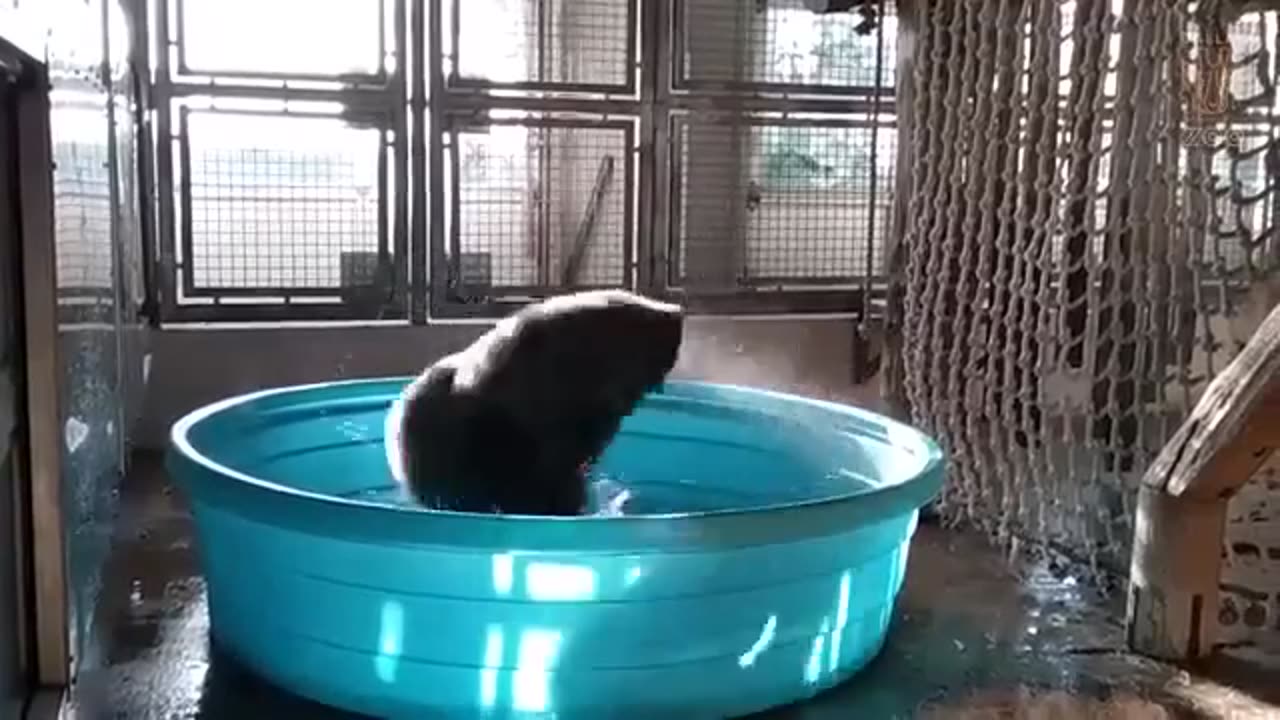DALLAS ZOO