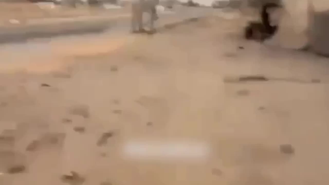 Documentation of the assassination attempt: Attacks and escapes by Gazans