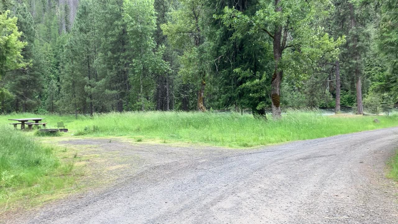Living in a Van, down by the River