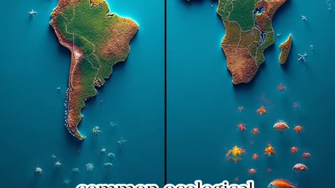 Understanding the Gulf of Mexico Dead Zone