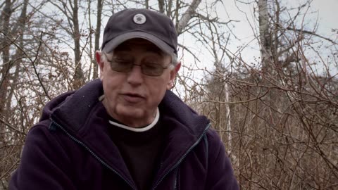 Kids For Cash (2013)