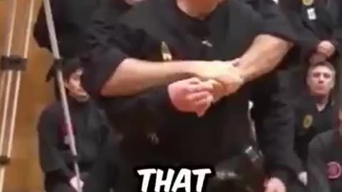80-Year-Old Ninja DESTROYS Young Fighter With ONE ARM!