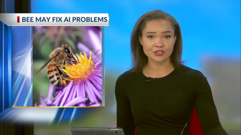 How bee brains may fix AI problems