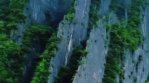 Beautiful video