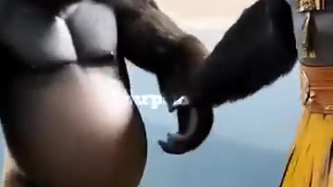 Funny
