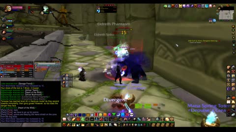 Turtle wow - PUG DMW / Dire Maul West - Paladin POV