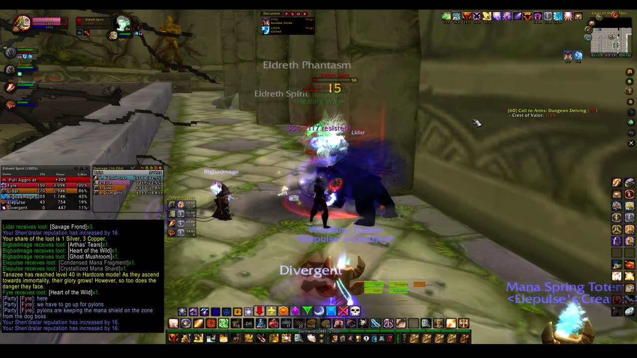Turtle wow - PUG DMW / Dire Maul West - Paladin POV