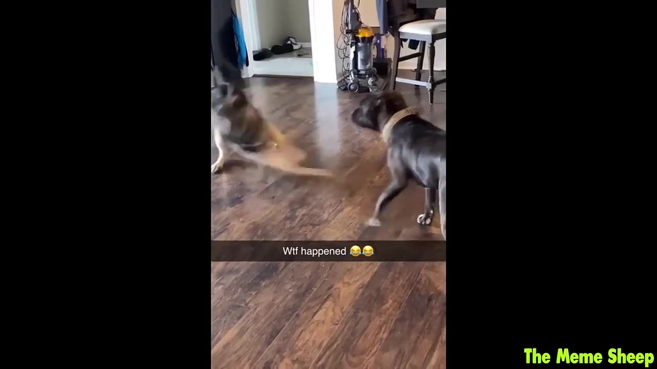 you laugh 4 times, you lose