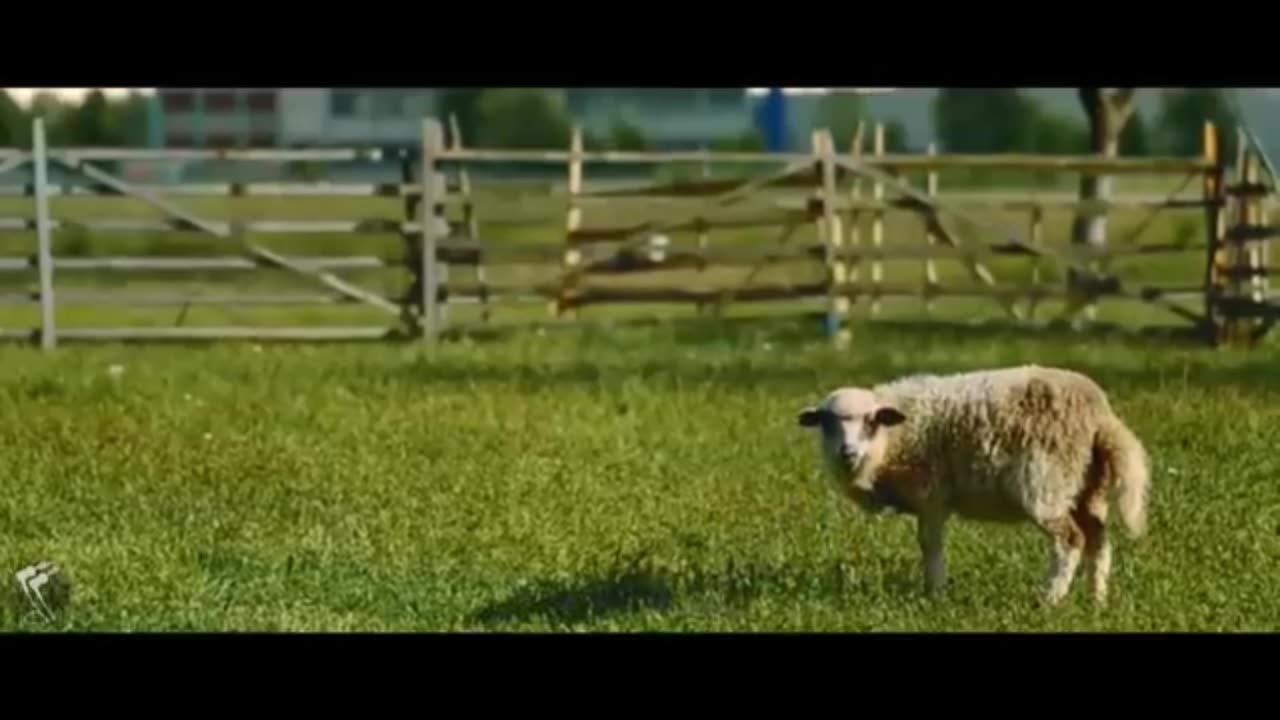 Seep 150 with BMW M5 COMPETITION