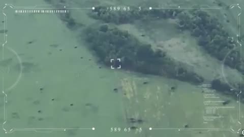 Ukrainian Drones Find Russian Firebase Hiding in Treeline