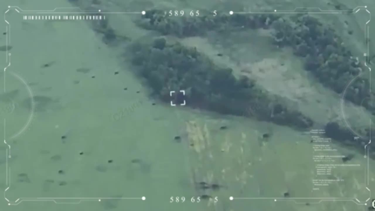 Ukrainian Drones Find Russian Firebase Hiding in Treeline