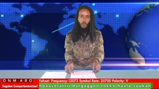 Oduu Galgala ONM-ABO Sadaasa 4-2025 itti dhiyaadhaa!