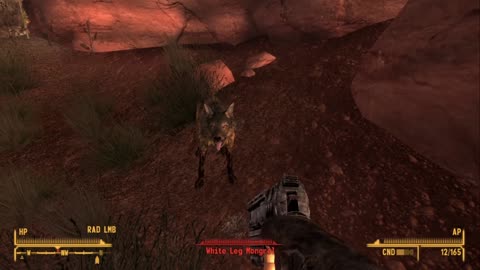 The immortal fallout dog