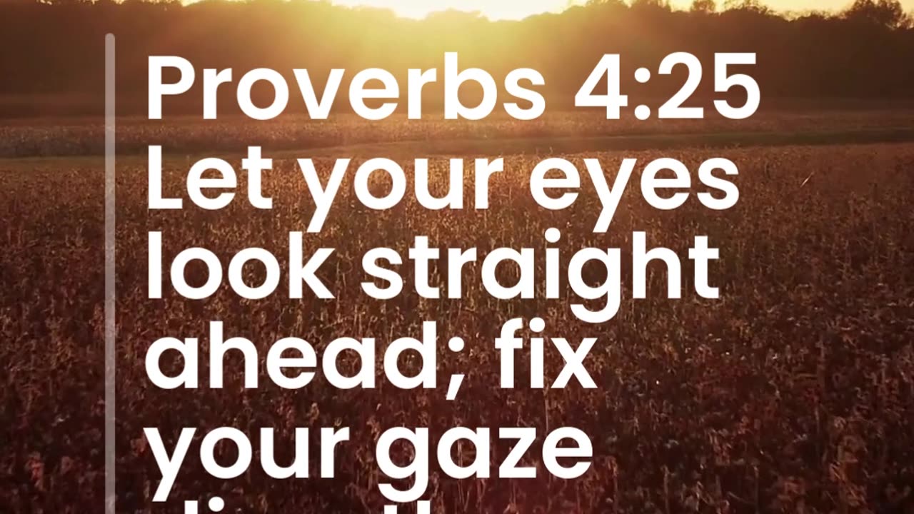 Proverbs 4:25