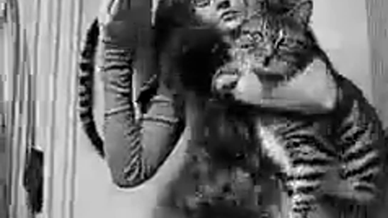 😨🧟♀️ This Is Done Creepy as Hell! | TheHauntingHour