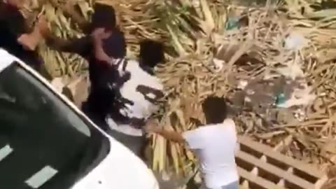 Italians explain to fake asylum seekers that they shouldn't steal from elderly women.