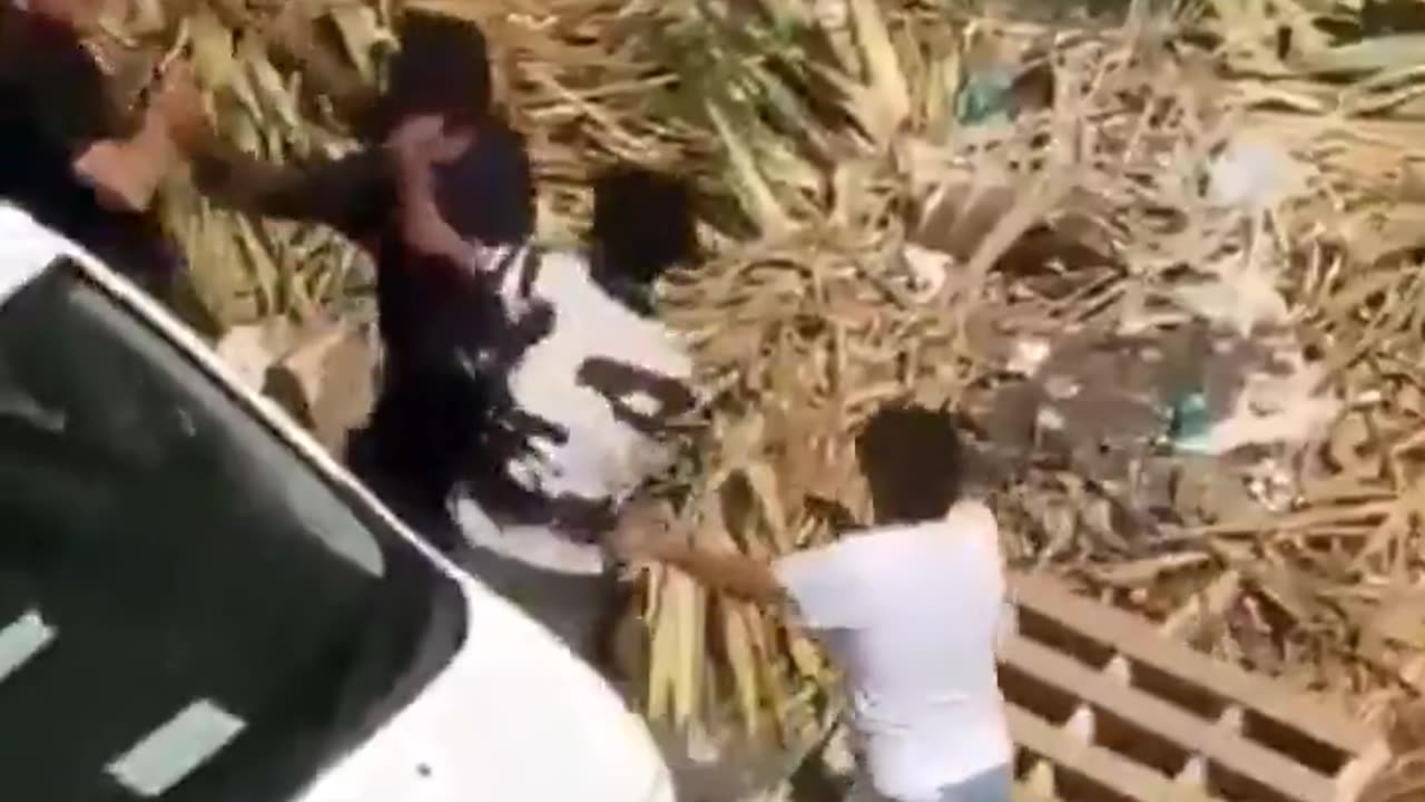 Italians explain to fake asylum seekers that they shouldn't steal from elderly women.