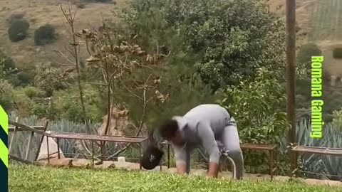 Funny video