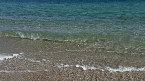 Olive Oil, Coconut Oil, Balsamic Vinegar and Apple Cider Vinegar: Human Health Benefits