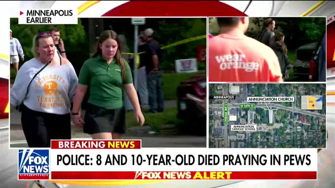 Trey Gowdy blames 'young white males' for mass shootings