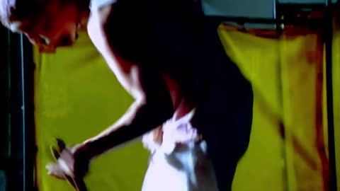Soundgarden - Spoonman / My Wave (Music Video, 1994)