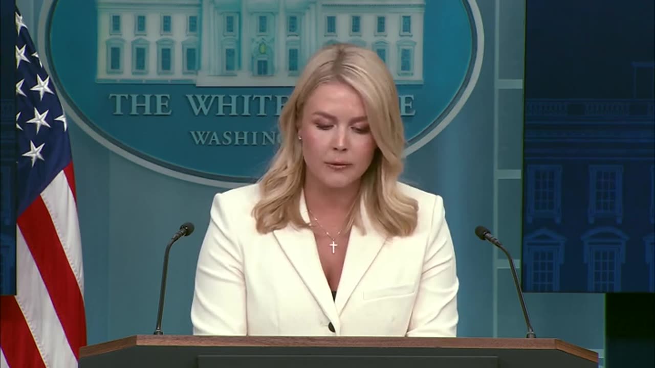Karoline Leavitt Brings Receipts Of Dems Echoing Trump's Concerns About Trade Policy