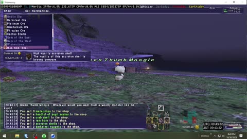 Playing Final Fantasy XI Online