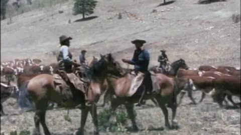 Vengeance Valley (1951)