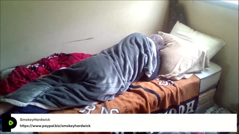 The Most Boring Stream On The Internet