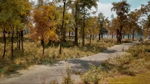 Cuando las cucarachas cazaban los tanques (parte 1)