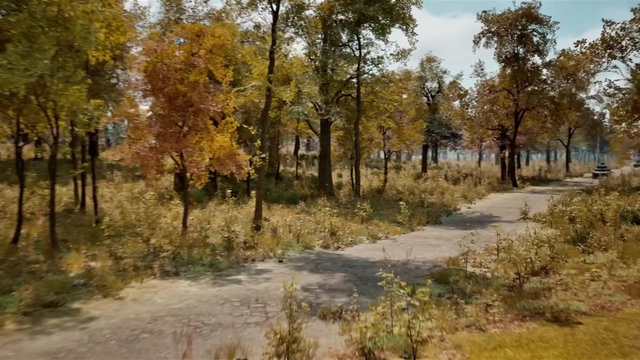 Cuando las cucarachas cazaban los tanques (parte 1)