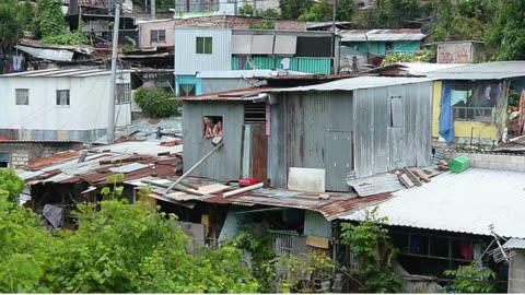 BUKELE Y LAS MENTIRAS DEL ALGORITMO