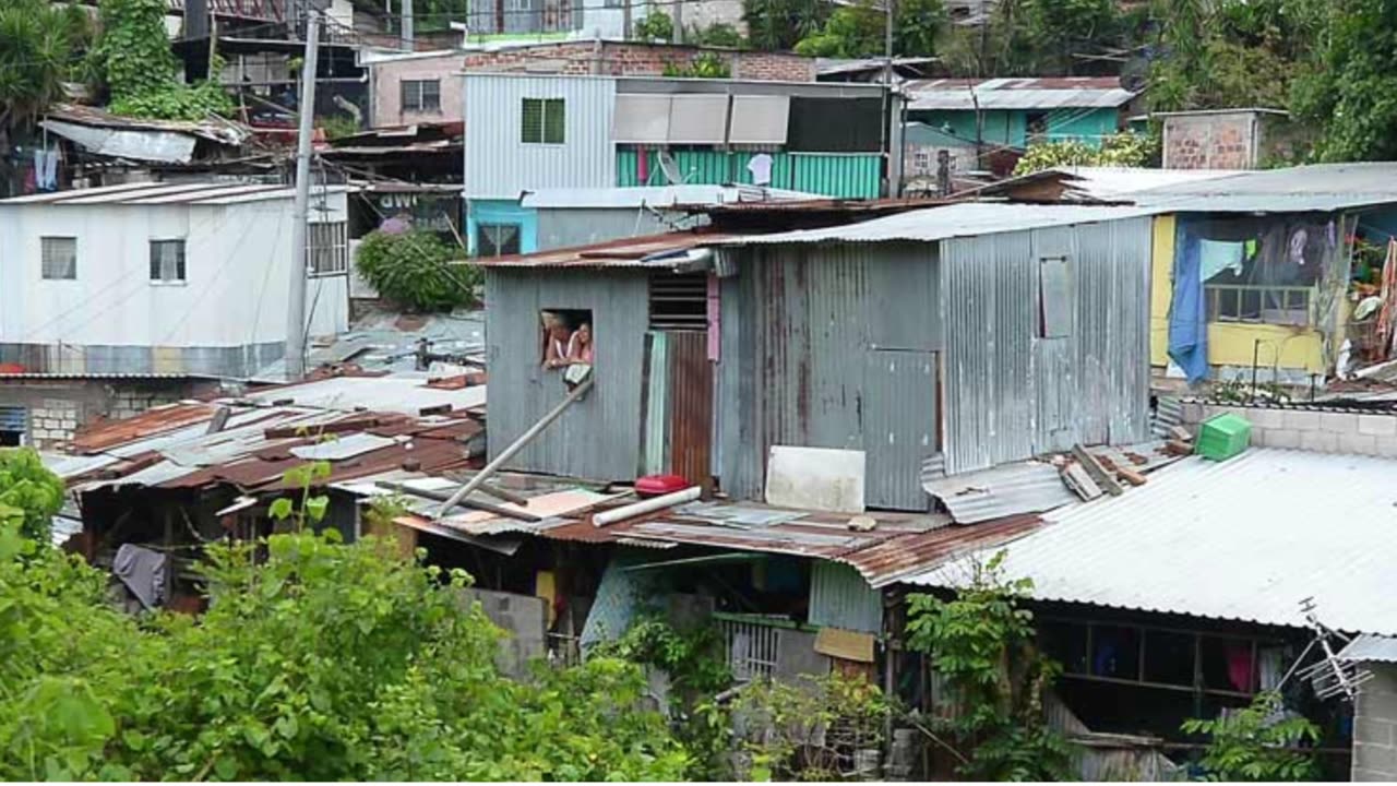 BUKELE Y LAS MENTIRAS DEL ALGORITMO