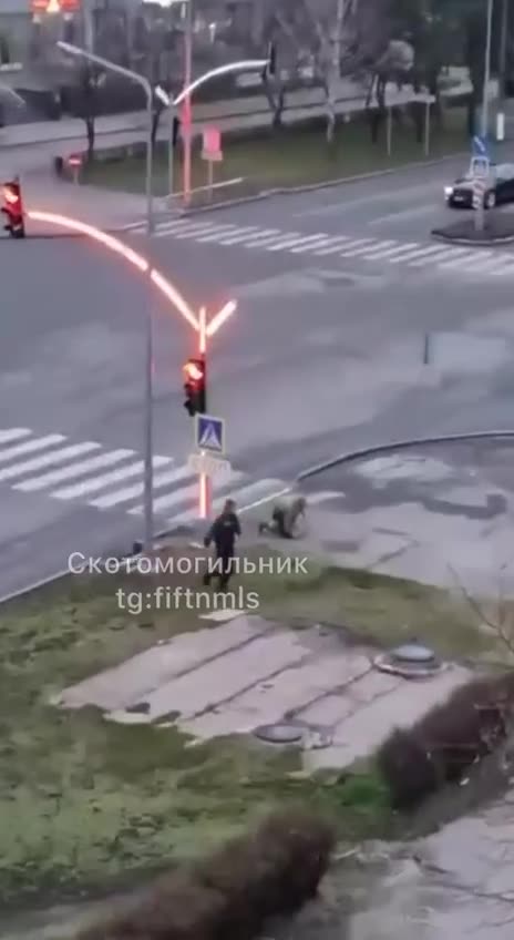 Ukrainian Citizen Runs From the TCC