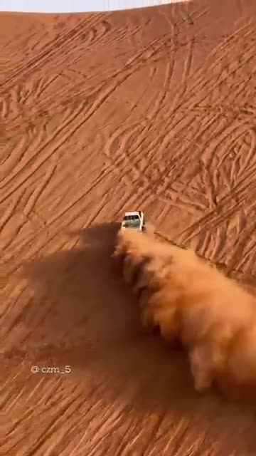 Desert Drift Madness! 🚙💨