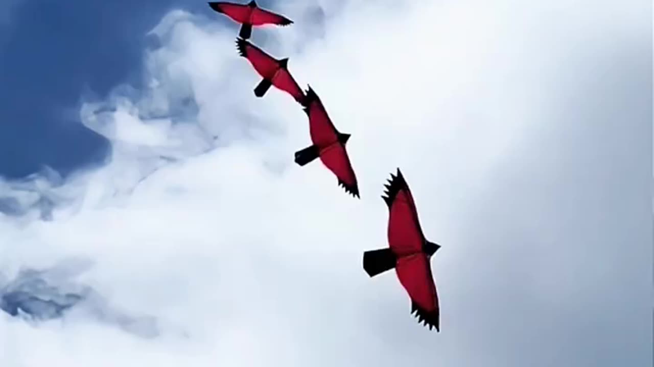 "Watch These Stunning Bird-Design Kites Soaring One After Another!" 🕊️🎏✨