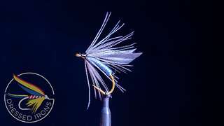 Tying the Dusty Miller Wet Fly- Dressed Irons