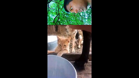 Cringe Level 9000 🔥😖