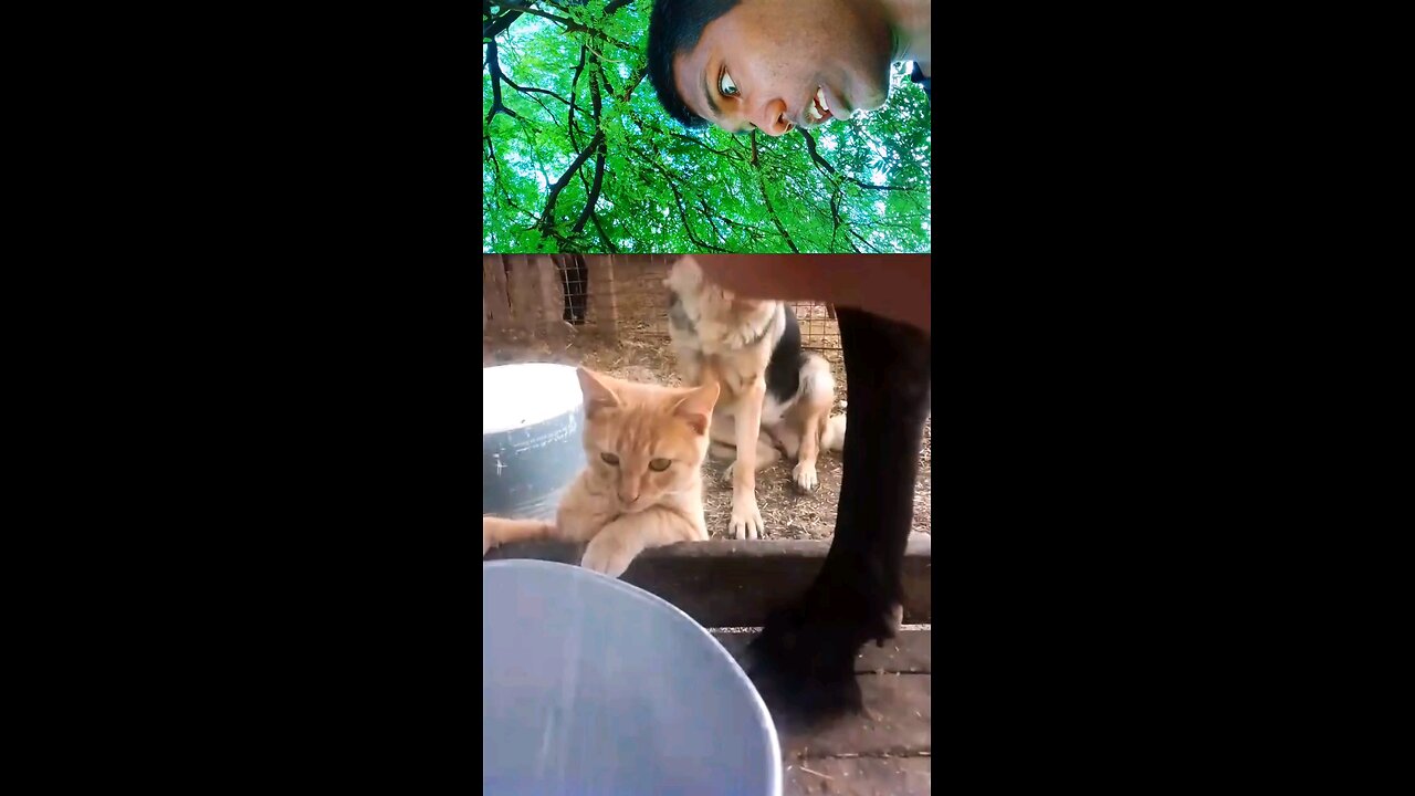 Cringe Level 9000 🔥😖