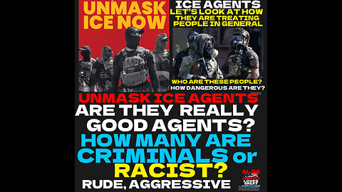 ALGA #3 Ice Agents, Are they really good agents, Criminals or Racist?
