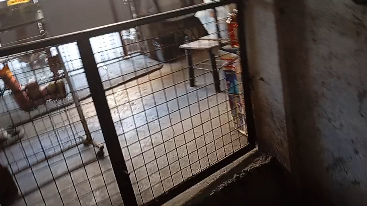Puntirya Na Yan Walang Kwenta