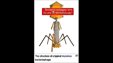 UNJABBED : THE WAY GOD INTENDED IT TO BE