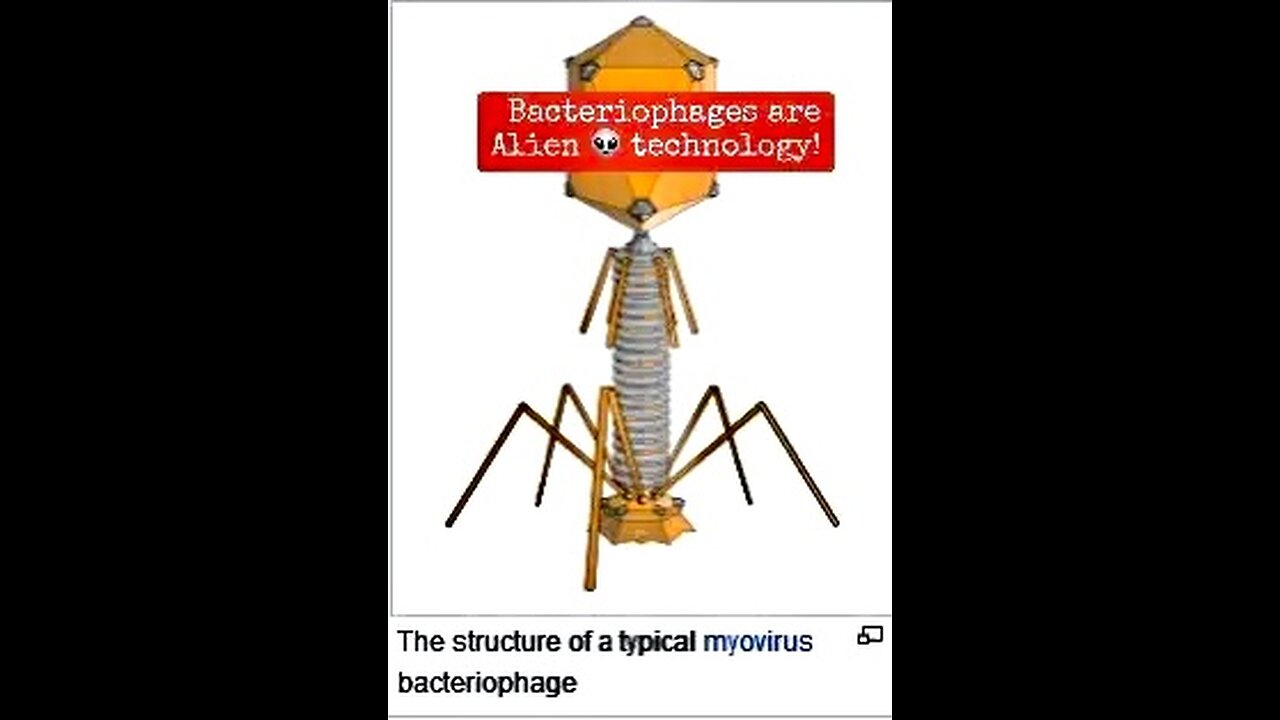 UNJABBED : THE WAY GOD INTENDED IT TO BE