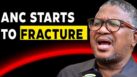Fikile Mbalula Begs ANC Members to Stop Infighting as Party Crumbles