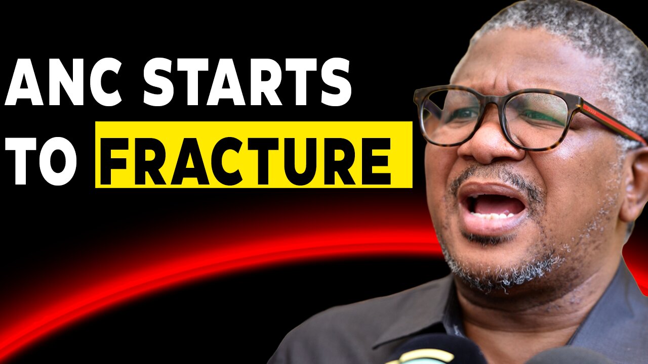 Fikile Mbalula Begs ANC Members to Stop Infighting as Party Crumbles
