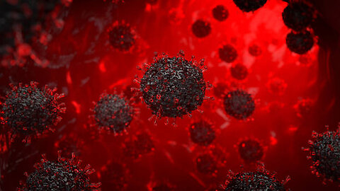 Black Mold Exposure Documentary + Black Mold - How To Kill Toxic Mold In Under 5 Mins!